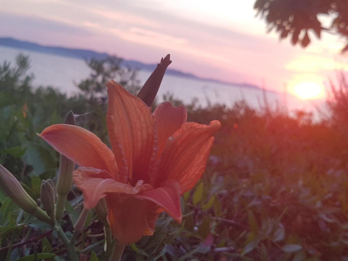 Villa Ivan Bibinje Buitenkant foto